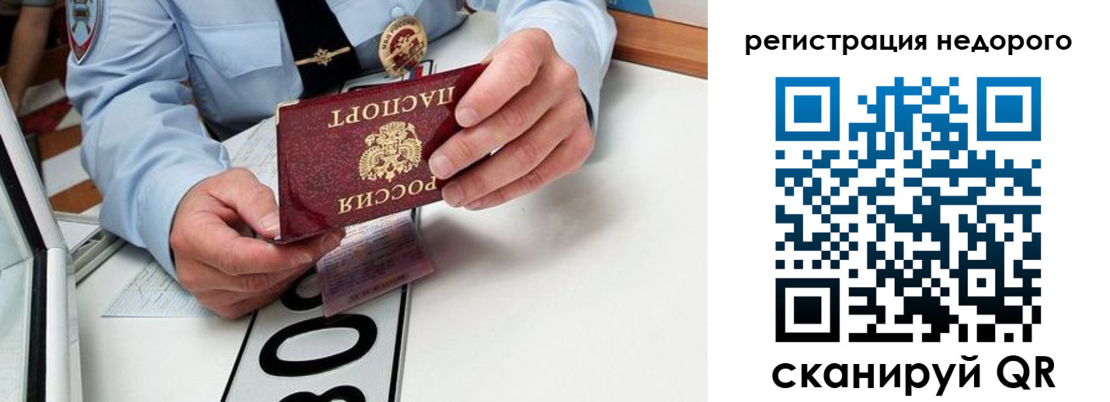 прописка ребенка в Волосово